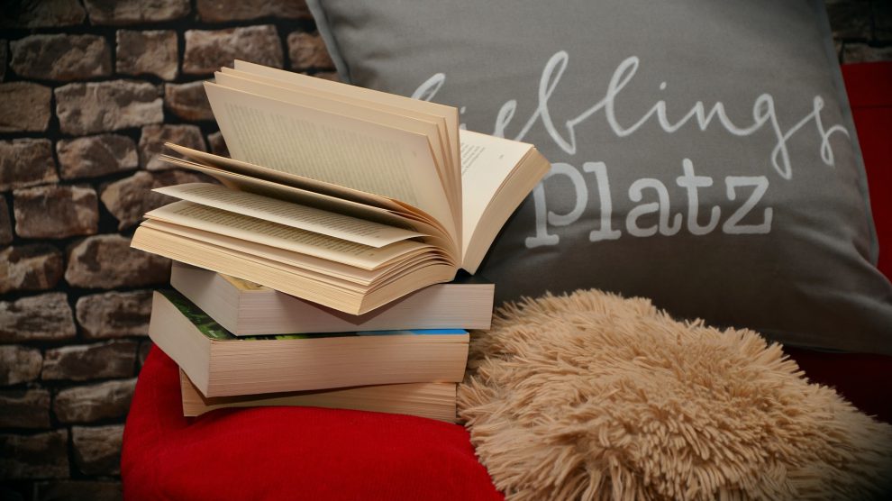 Lesen macht einfach Spaß. Symbolfoto: Pixabay / condesign