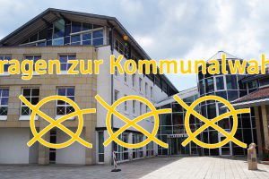 Zur Kommunalwahl am 11. September hat Wallenhorster.de den verschiedenen Parteien in einer kleinen Serie Fragen gestellt. Foto: Wallenhorster.de