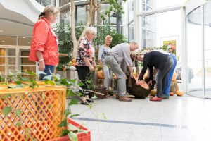 Bei der Arbeit: der Seniorenbeirat richtet das Herbstbild im Foyer des Rathauses an. Foto: Gemeinde Wallenhorst / André Thöle