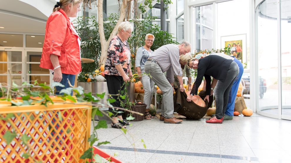 Bei der Arbeit: der Seniorenbeirat richtet das Herbstbild im Foyer des Rathauses an. Foto: Gemeinde Wallenhorst / André Thöle