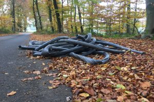 Immer wieder: Illegale Müllentsorgungen entlang der Wiesenstraße in Wallenhorst - Hollage. Foto: Wallenhorster.de