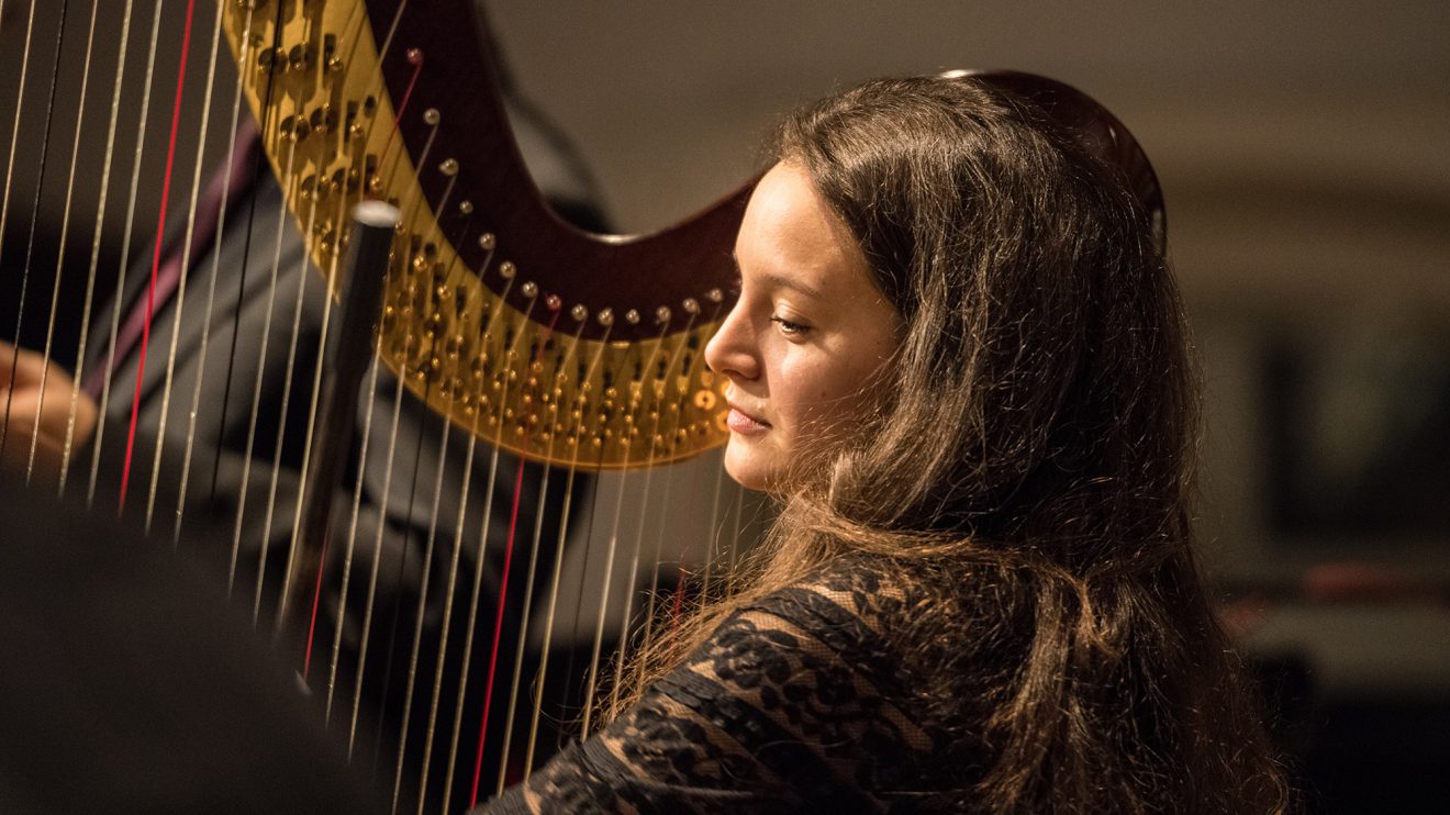 Himmlische Klänge zum Weihnachtsfest: Francesca Miglierina an der Harfe. Foto: Gemeinde Wallenhorst / Thomas Remme