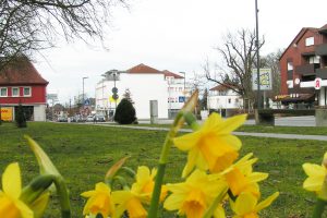 Der Frühling kommt nach Wallenhorst, wie hier an der Großen Straße im Ortskern. Foto: Wallenhorster.de