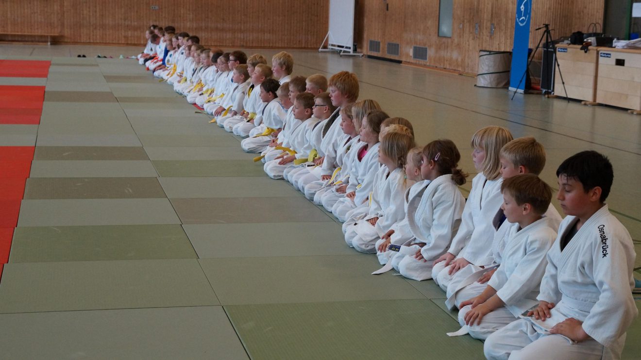 Das Judo Camp 2017. Fotos: Blau-Weiss Hollage