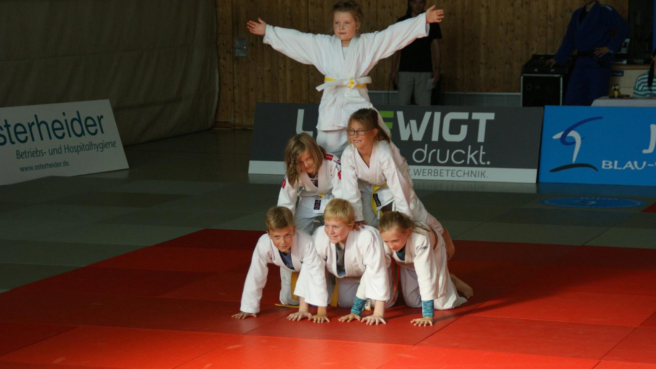 Das Judo Camp 2017. Fotos: Blau-Weiss Hollage