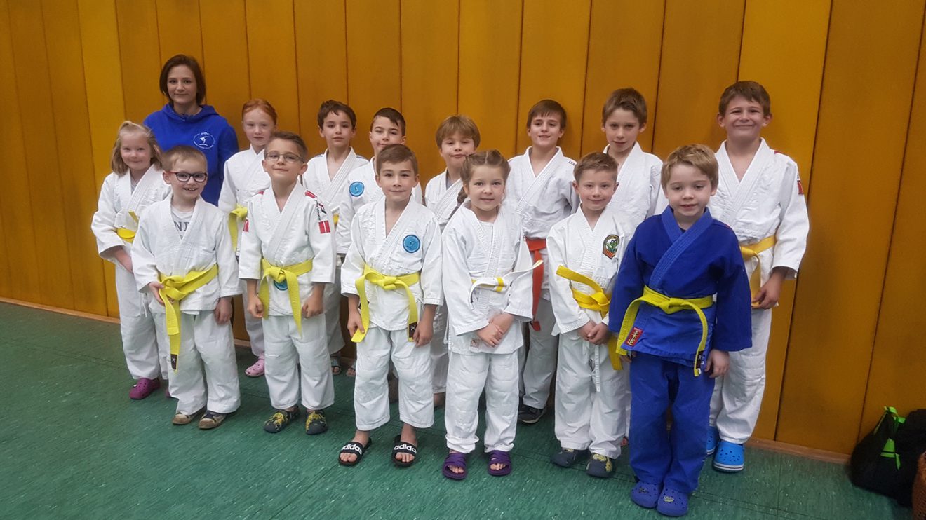 Die Judoka von Blau-Weiss Hollage beim diesjährigen Bärenpokal. Foto: Blau-Weiss-Hollage