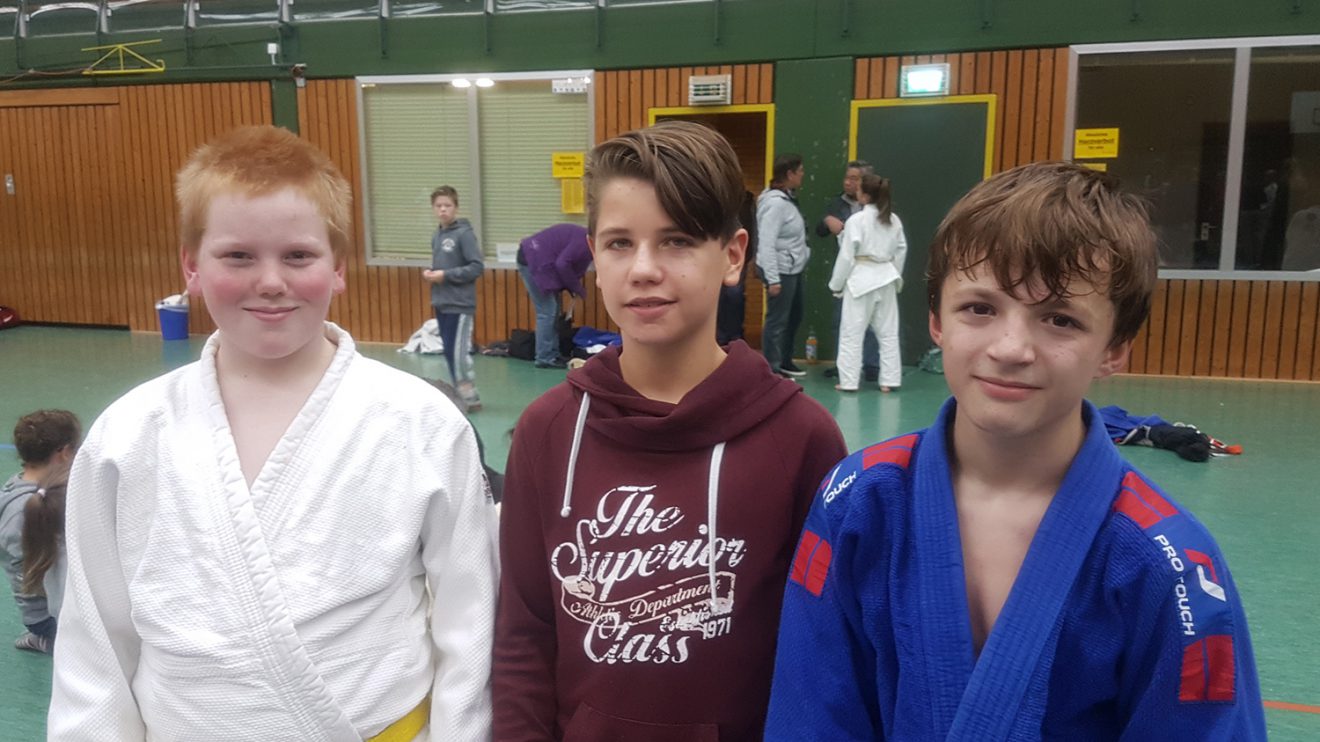 Die Judoka von Blau-Weiss Hollage beim diesjährigen Bärenpokal. Foto: Blau-Weiss-Hollage