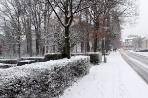 Der Winter ist im Zentrum von Wallenhorst angekommen. Foto: Wallenhorster.de