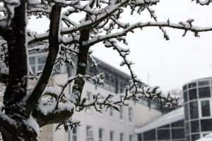 Der Winter ist im Zentrum von Wallenhorst angekommen. Foto: Wallenhorster.de