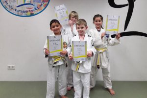 Die erfolgreichen Hollager Judoka nach ihrer Gürtelprüfung. Foto: Blau-Weiss Hollage