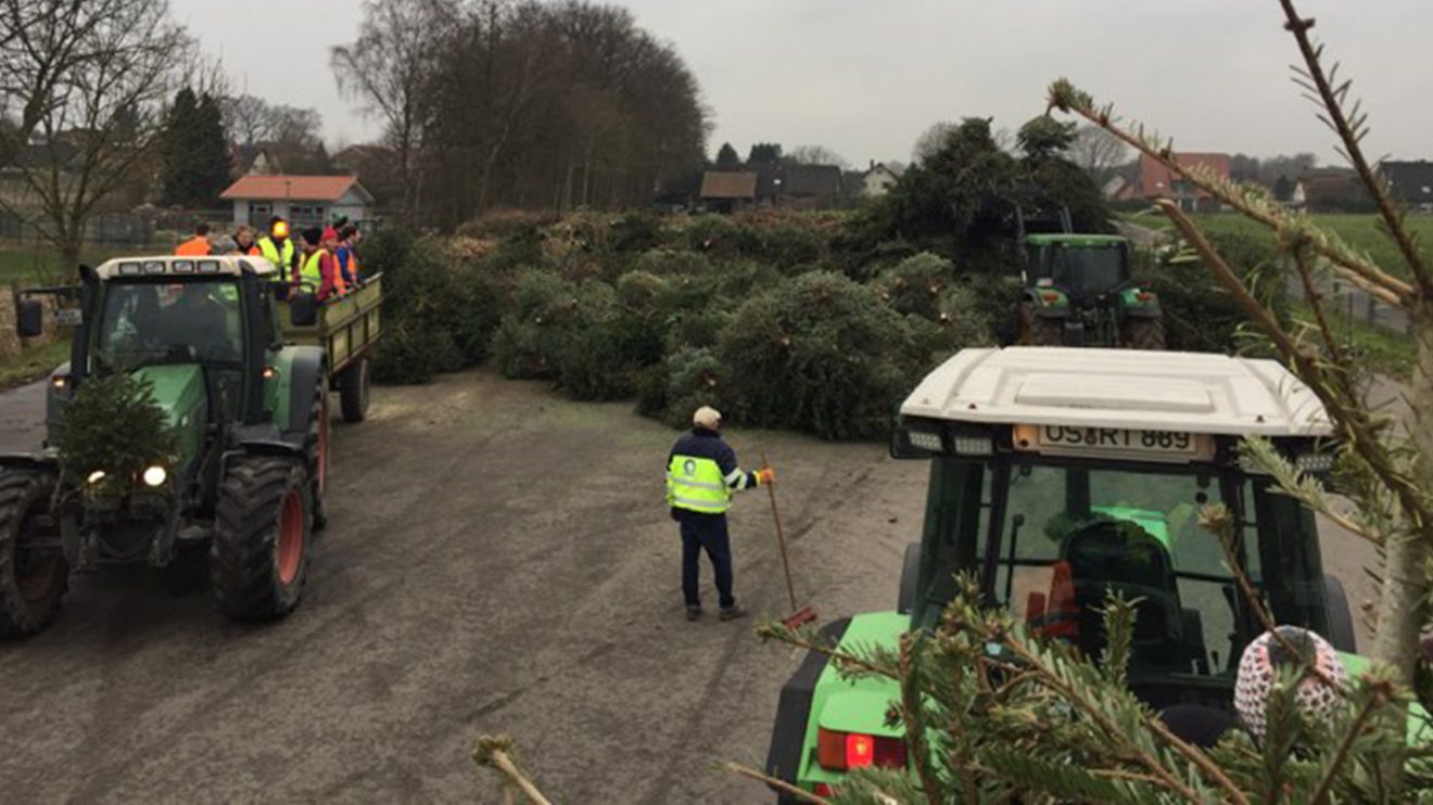 Die Wallenhorster Messdiener sind am heutigen Samstag unterwegs und sammeln mit sechs Treckern die ausgedienten Christbäume ein, um sie anschließend fachgerecht zu entsorgen. Foto: Nils Kuhlmann