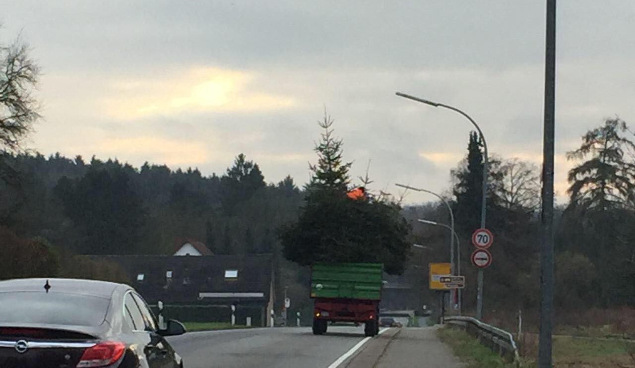 Wie hier in Lechtingen sind die Wallenhorster Messdiener am heutigen Samstag unterwegs und sammeln mit sechs Treckern die ausgedienten Christbäume ein. Foto: Nils Kuhlmann