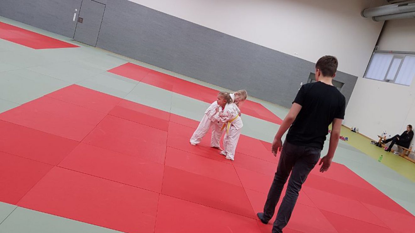 Die Judo-Safari in der neuen Hollager Trainingshalle. Foto: Blau-Weiss Hollage