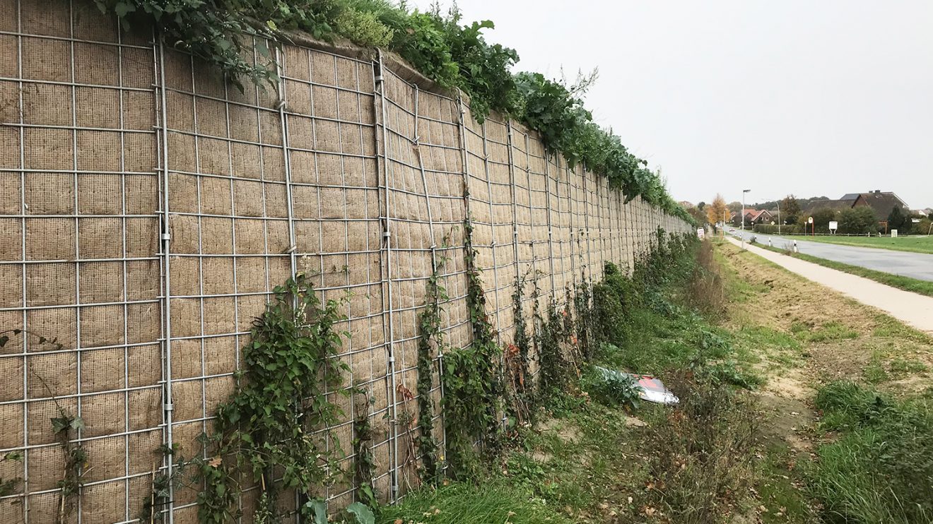 Die begrünte Mauer am Neubaugebiet Witthügel in Hollage-Ost soll unter anderem mit mehreren Beamern illuminiert werden. Foto: Wallenhorster.de