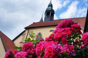 Die Kirche des ehemaligen Klosters Rulle. Hier wurde am vergangenen Mittwoch bei Renovierungsarbeiten eine für die Fachwelt verblüffende Entdeckung gemacht. Foto: Wallenhorster.de