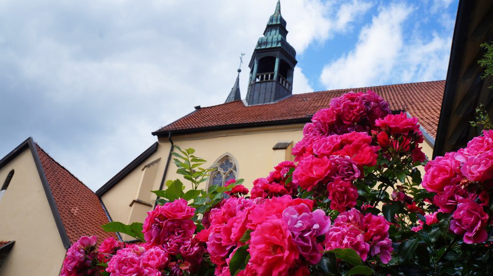 Die Kirche des ehemaligen Klosters Rulle. Hier wurde am vergangenen Mittwoch bei Renovierungsarbeiten eine für die Fachwelt verblüffende Entdeckung gemacht. Foto: Wallenhorster.de