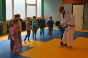 Eindrücke vom Judoprojekt im Kindergarten St. Raphael. Foto: Blau-Weiss Hollage