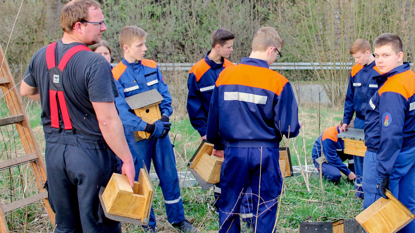 Welcher Nistkasten soll an welchen Baum? Die Auswahl ist groß. Foto: Alexander Meyer