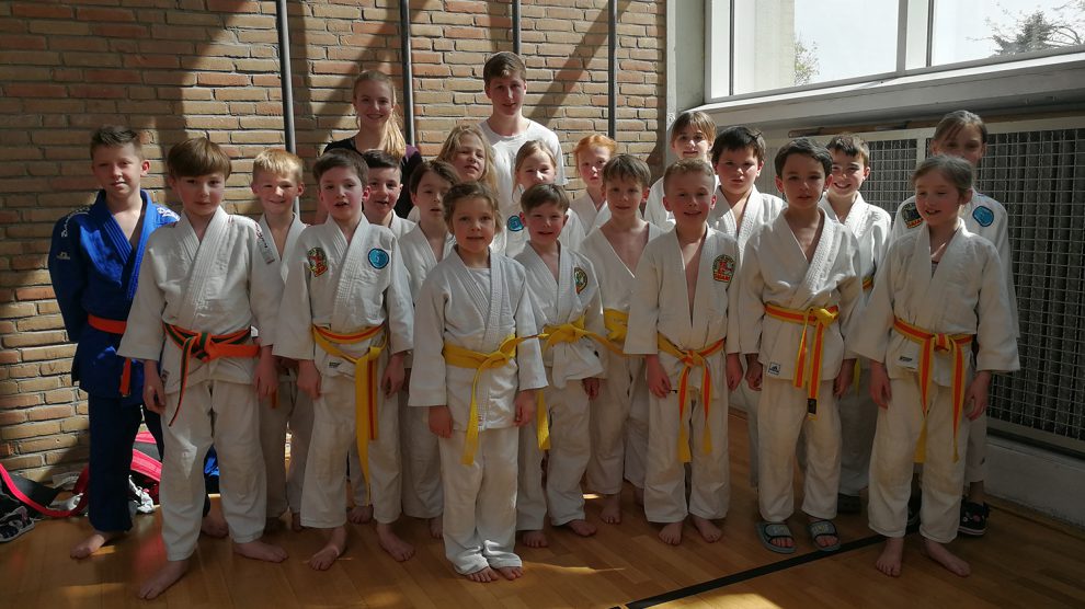 Das Team der jungen Hollager Judoka der Altersklasse u12 bei der Kreismannschaftsmeisterschaft. Foto: Blau-Weiss Hollage