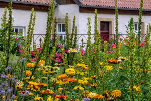 Beim Ruller Haus kann man neben dem Garten auch die Kunstausstellung „come together“ besuchen. Foto: B&M Imeyer