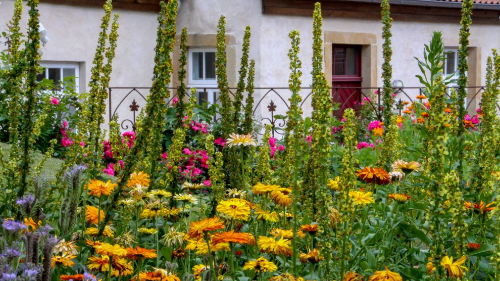 Beim Ruller Haus kann man neben dem Garten auch die Kunstausstellung „come together“ besuchen. Foto: B&M Imeyer