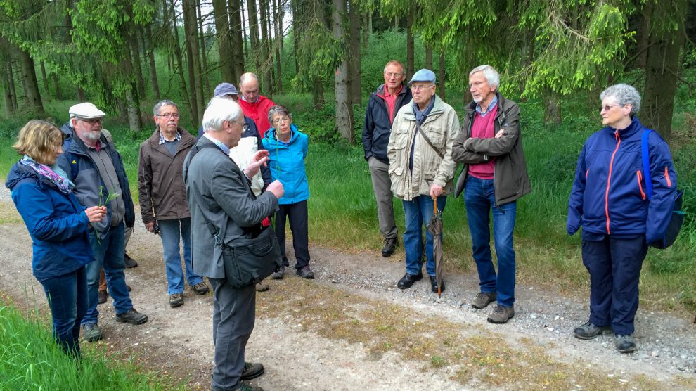 Pflanzenkundler Prof. Dr. Konrad Arndt bringt den Schnatgängern die heimische Flora näher. Foto: Gemeinde Wallenhorst