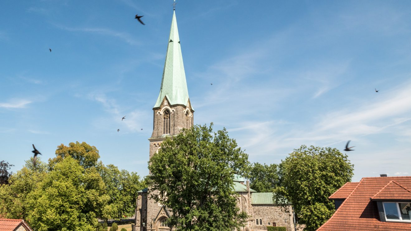 Mauersegler umkreisen die St. Alexanderkirche in Wallenhorst. Foto: Thomas Remme