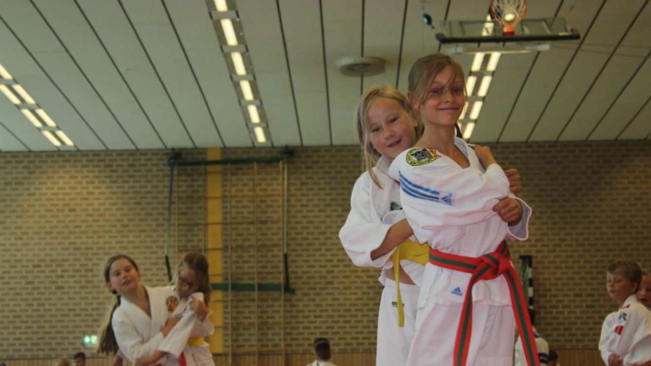 Das Hollager Judo Camp 2018 stand unter dem Motto „Superhelden“. Foto: Blau-Weiss Hollage