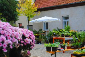 Für Gartenfreunde aus Wallenhorst und Umgebung ist der Staudenmarkt am Ruller Haus seit Jahren ein fester Termin im Kalender. Foto: Brigitte Herbert