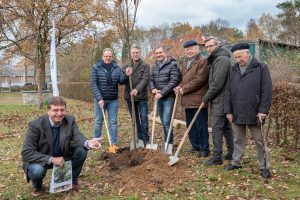 Während Udo Stangier die Früchte präsentiert, pflanzen Stefan Gutendorf, Hubert Pohlmann, Guido Pott, Josef Pott und Bürgermeister Otto Steinkamp unter den fachmännischen Blicken von Prof. Hans Kohstall die Esskastanie am Heimathaus Hollager Hof ein. Foto: Gemeinde Wallenhorst / Thomas Remme