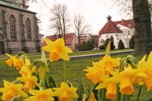 Ab in den Frühling: Viele tolle Aktionen finden wieder beim Wallenhorster Frühlingserwachen statt. Foto: Rothermundt / Wallenhorster.de