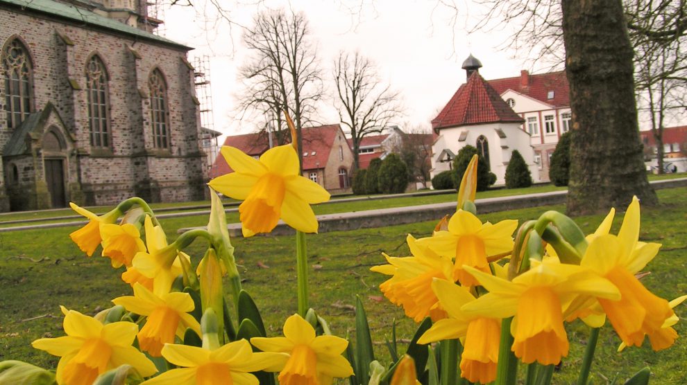 Ab in den Frühling: Viele tolle Aktionen finden wieder beim Wallenhorster Frühlingserwachen statt. Foto: Rothermundt / Wallenhorster.de