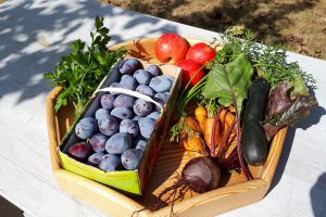 Die Früchte der Natur im eigenen Garten: Auf dem Infoabend „Obst und Gemüse selbst anbauen“ erhalten Interessierte wertvolle Tipps für eine erfolgreiche Ernte. Foto: Gabriele Wosnitza