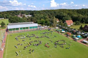 Auf dem Sportplatz an der Uhlandstraße spielen Kinder- und Erwachsenenteams den Meister des Kubb aus. Foto: Volker Holtmeyer