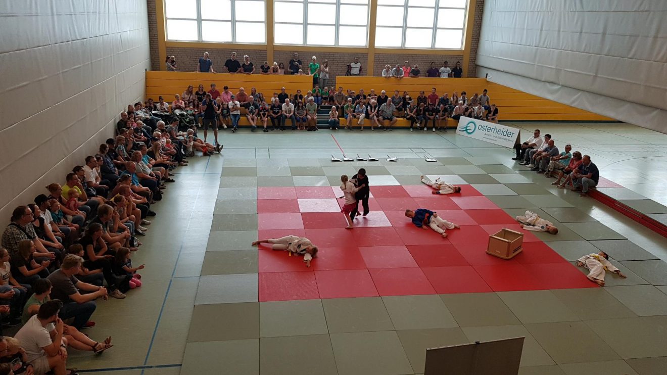 Eindrücke vom Hollager Judo Camp 2019. Fotos: Blau-Weiss Hollage