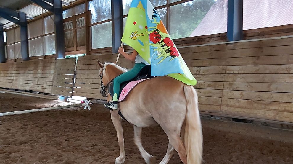 Die tiergestützte Therapie mit dem Schwerpunkt „Reittherapie“ ist eine ganzheitliche Förderung. In Wallenhorst engagiert sich hierfür insbesondere Daniela Kray. Ihr Förderverein möchte Menschen eine tiergestützte Therapie ermöglichen, die sonst keinen Zugang zu einer therapeutischen Förderung mit dem Tier haben und auf finanzielle Unterstützung angewiesen sind. Foto: Kray / Tiere helfen e.V.