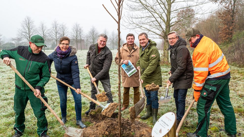 Pflanzen mit vereinten Kräften eine Flatterulme in der Nähe der Hofstelle Duling (von links): Josef Nölker, Claudia Broxtermann, Hubert Pohlmann, Udo Stangier, Guido Pott, Bürgermeister Otto Steinkamp und Alois Wächter. Foto: Gemeinde Wallenhorst / Thomas Remme