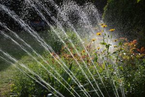 Wegen der extrem niedrigen Grundwasserstände ist es ab sofort und bis Ende September im Landkreis Osnabrück verboten, in der Zeit zwischen 12 und 18 Uhr private und öffentliche Grünflächen, Sportanlagen wie Fußball-, Tennis- oder Golfplätze sowie land- und forstwirtschaftlich genutzte Flächen mit Wasser zu sprengen. Symbolfoto: Peggy Choucair / Pixabay