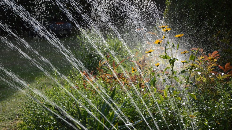 Wegen der extrem niedrigen Grundwasserstände ist es ab sofort und bis Ende September im Landkreis Osnabrück verboten, in der Zeit zwischen 12 und 18 Uhr private und öffentliche Grünflächen, Sportanlagen wie Fußball-, Tennis- oder Golfplätze sowie land- und forstwirtschaftlich genutzte Flächen mit Wasser zu sprengen. Symbolfoto: Peggy Choucair / Pixabay