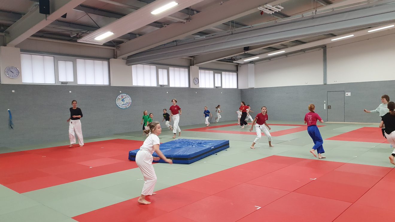 Eindrücke aus der Ferien-Betreuung 2020 der Hollager Judoabteilung. Foto: Blau-Weiss Hollage