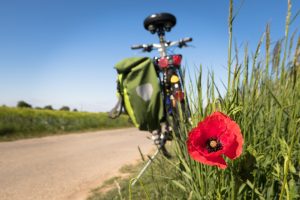 Macht Radfahren in Wallenhorst Spaß? Symbolfoto: Thomas B. / Pixabay