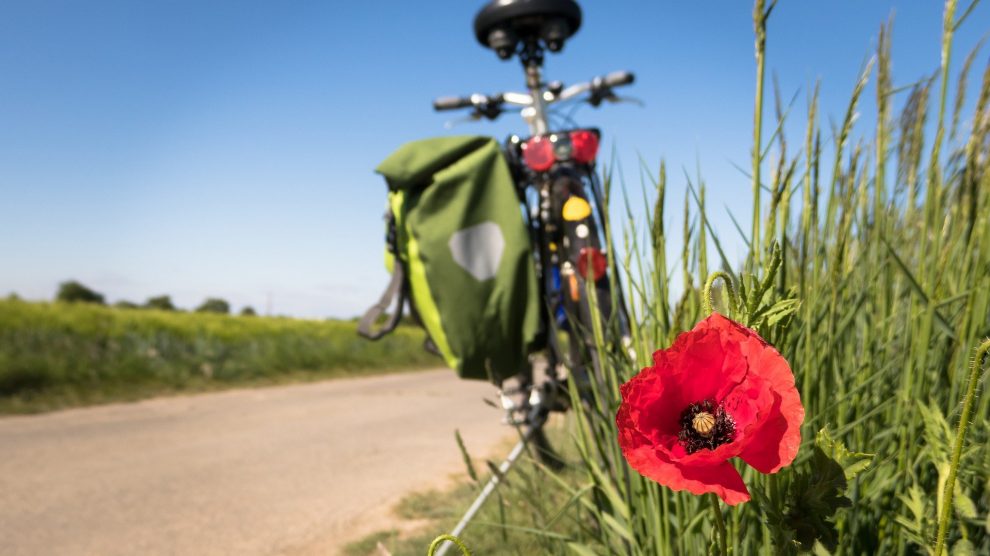 Macht Radfahren in Wallenhorst Spaß? Symbolfoto: Thomas B. / Pixabay