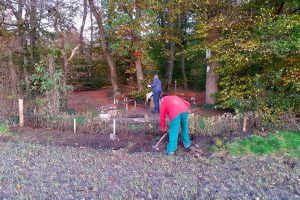 Mitglieder der Kolpingsfamilie Hollage pflanzen eine Strandrosenhecke am Rastplatz „Kolping-Eck“. Foto: Kolpingsfamilie Hollage