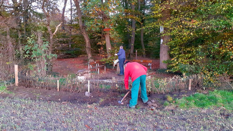 Mitglieder der Kolpingsfamilie Hollage pflanzen eine Strandrosenhecke am Rastplatz „Kolping-Eck“. Foto: Kolpingsfamilie Hollage