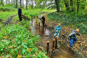 Mit den selbst gebauten Strömungslenkern verbessern die Kinder die Lebensbedingungen der Tiere im Lechtingen Bach. Foto: Isabella Draber / Gemeinde Wallenhorst