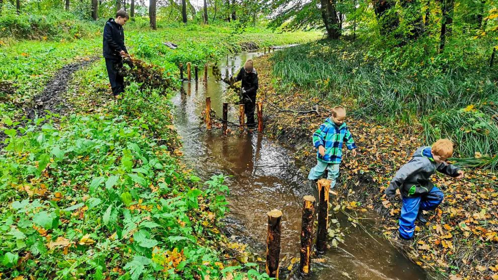 Mit den selbst gebauten Strömungslenkern verbessern die Kinder die Lebensbedingungen der Tiere im Lechtingen Bach. Foto: Isabella Draber / Gemeinde Wallenhorst