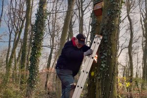 Ehrenamtliche Helfer der Kolpingsfamilie Hollage setzen die Nistkästen im Hollager Berg instand. Foto: Kolpingsfamilie Hollage