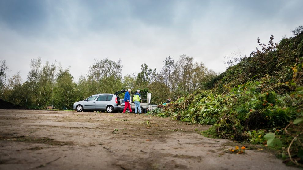 Durch den Zusatztermin am 16. Januar soll vor allem eine ausreichende Entsorgungsmöglichkeit für abgeschmückte Tannenbäume geboten werden, da es coronabedingt mancherorts zu Absagen von sonst üblichen Sammelaktionen kommen kann. Foto: Awigo