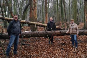 Auch im Hollager Berg sind die Folgen langanhaltender Trockenheit unübersehbar, hier im Dezember 2020. Foto: CDW