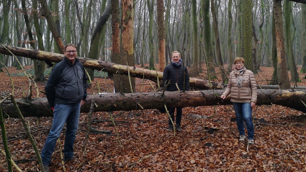 Auch im Hollager Berg sind die Folgen langanhaltender Trockenheit unübersehbar, hier im Dezember 2020. Foto: CDW